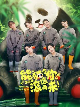 熊貓與你，滾滾而來！(全集)