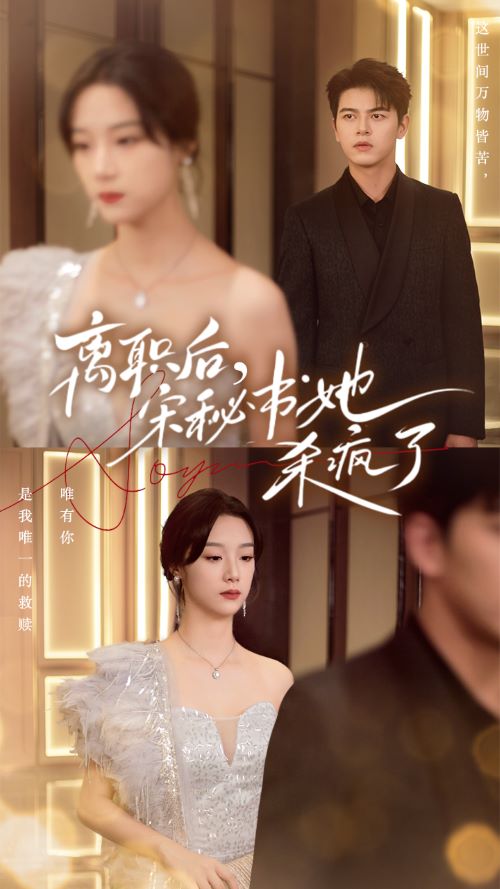 離職后，宋秘書她殺瘋了(全集)