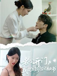 老公開門，我是你新招的秘書(全集)