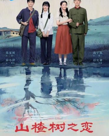 山楂樹(shù)之戀2025(全集)