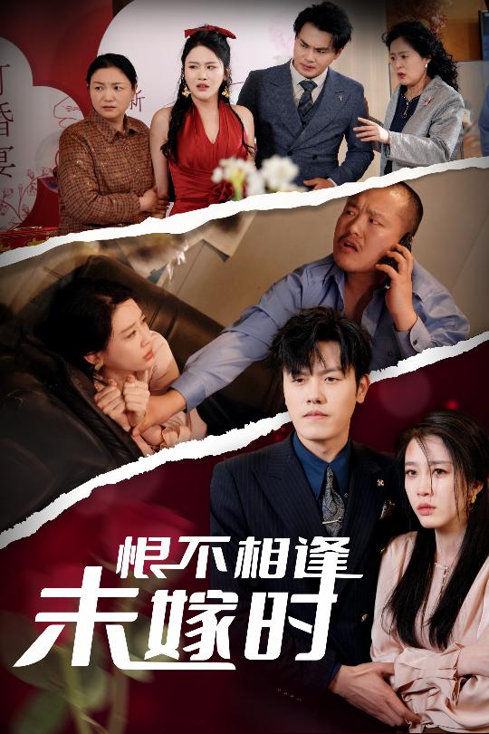 恨不相逢未嫁時(shí)(全集)