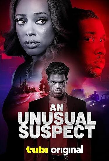 一個不尋常的嫌疑人