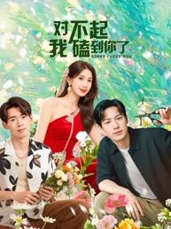 對(duì)不起，我磕到你了(全集)