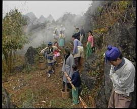 魚公主紅鯉公主(全集)