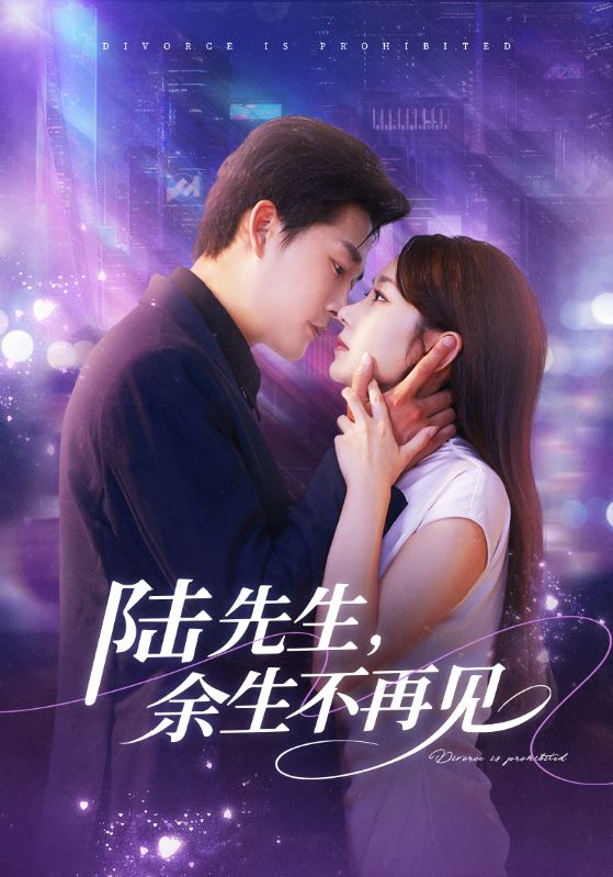 陸先生，余生不再見(jiàn)(全集)