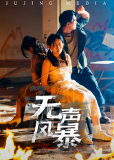 無聲風(fēng)暴(全集)