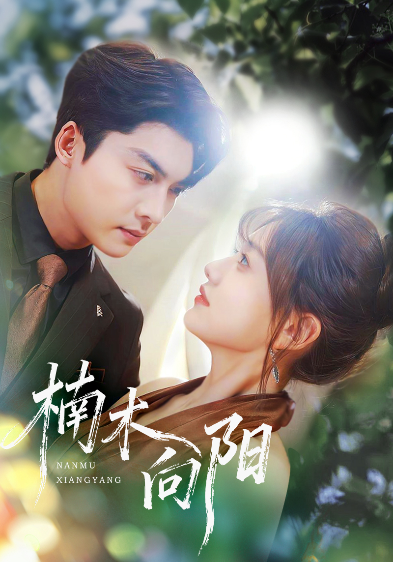 楠木向陽(全集)