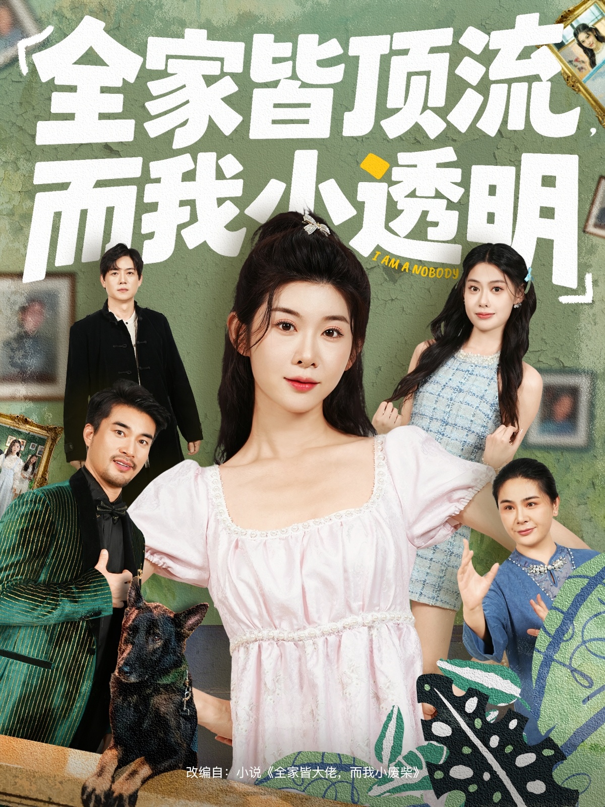 全家皆頂流，而我小透明(全集)