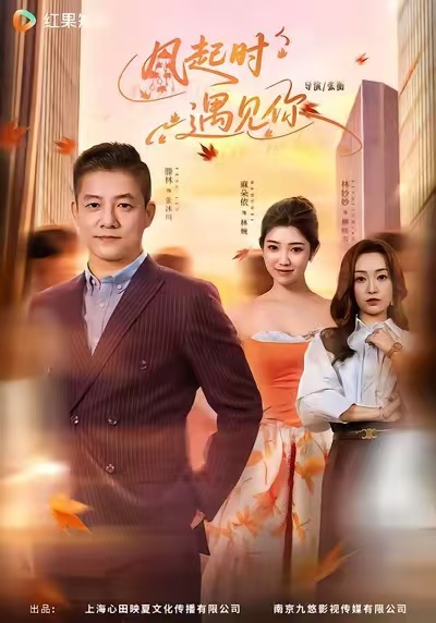 風(fēng)起時(shí)遇見(jiàn)你(全集)