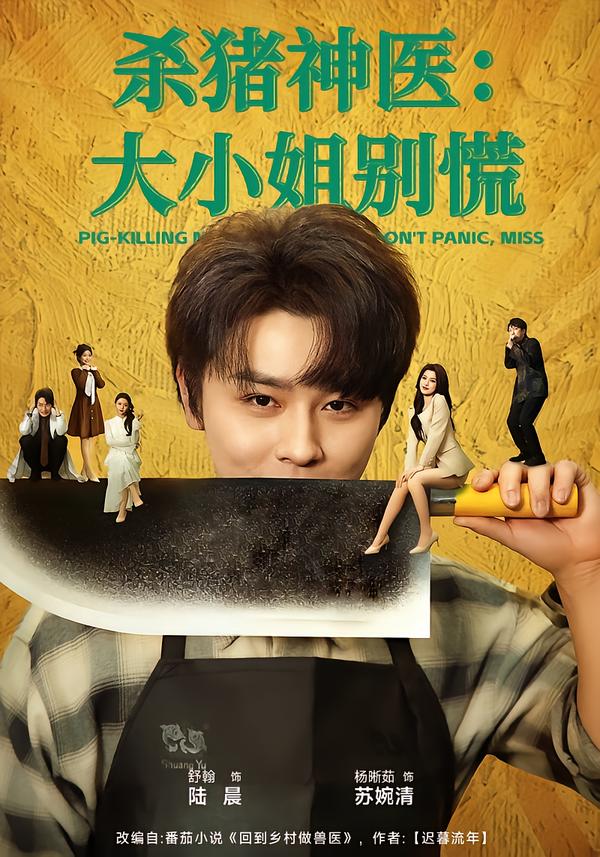 殺豬神醫(yī)，大小姐別慌(全集)