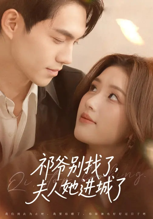 祁爺別找了，夫人她進(jìn)城了(全集)