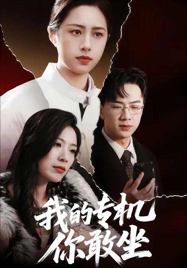 我的專機你敢坐(全集)