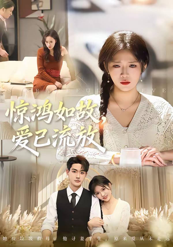 驚鴻如故，愛(ài)已流放(全集)