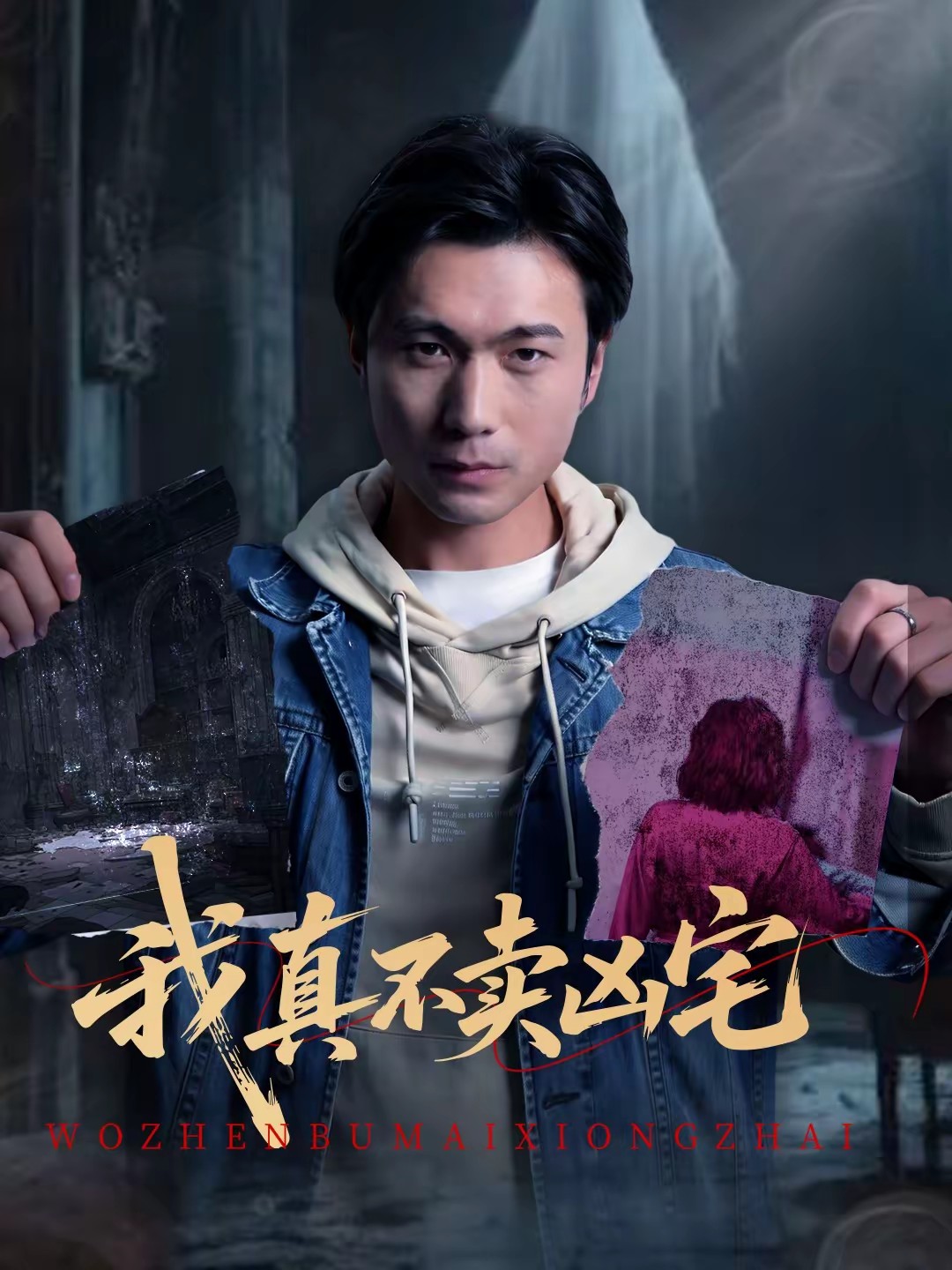 我真不賣兇宅(全集)