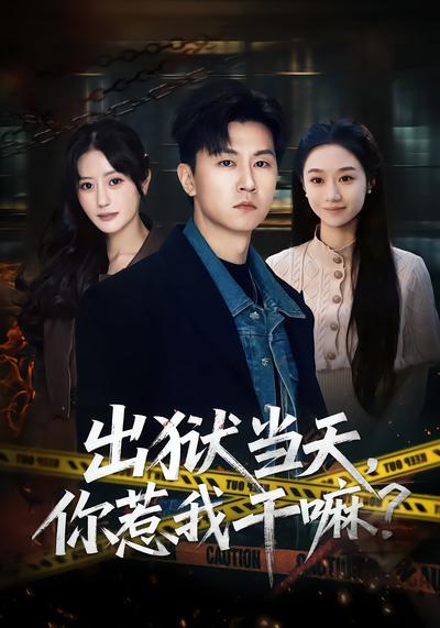 出獄當(dāng)天，你惹我干嘛？(全集)