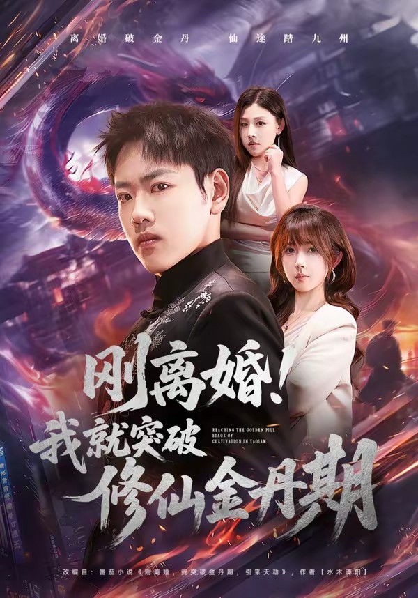 剛離婚！我就突破修仙金丹期(全集)
