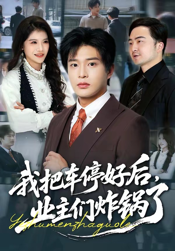 我把車停好后，業(yè)主們炸鍋了(全集)