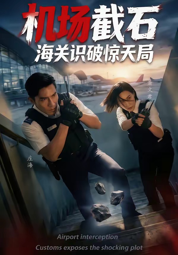 機(jī)場截石，海關(guān)識破驚天局(全集)