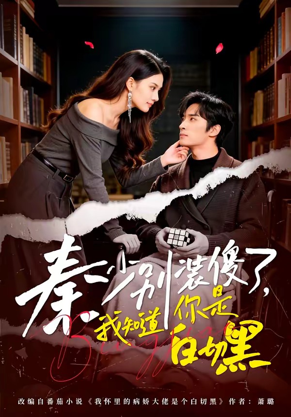 秦少別裝傻了，我知道你是白切黑(全集)