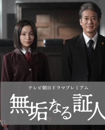 無(wú)垢的證人(全集)