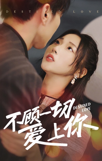 不顧一切愛上你1-20集