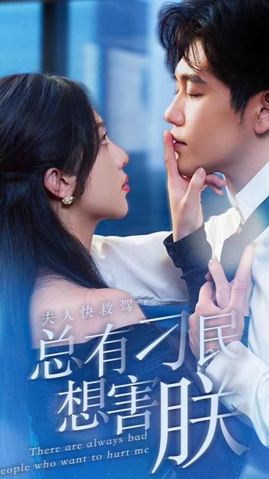 夫人快救駕，總有刁民想害朕(全集)