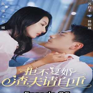 拒不復(fù)婚，渣夫請自重(全集)