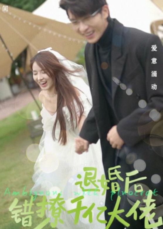 退婚后，錯撩千億大佬(全集)