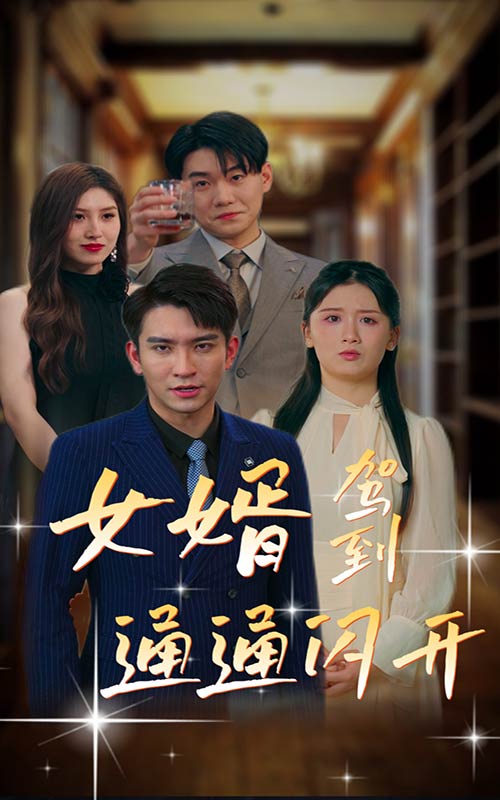 女婿駕到，通通閃開(全集)