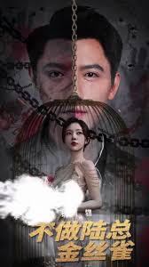 掌中玩物，不做陸總金絲雀(全集)