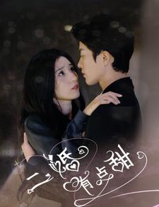 二婚有點甜全集(大結局)