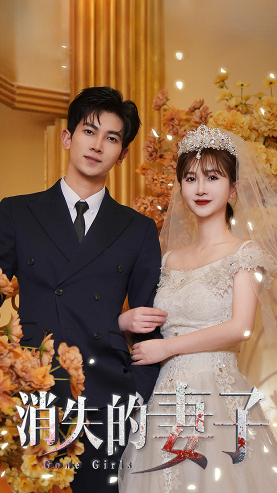 新：消失的妻子全集(大結(jié)局)