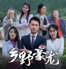 鄉(xiāng)野豪龍全集(大結(jié)局)