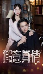假意真情全集(大結(jié)局)