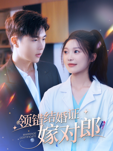 領(lǐng)錯(cuò)結(jié)婚證嫁對(duì)郎全集(大結(jié)局)