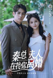 秦總，夫人在找你離婚(全集)